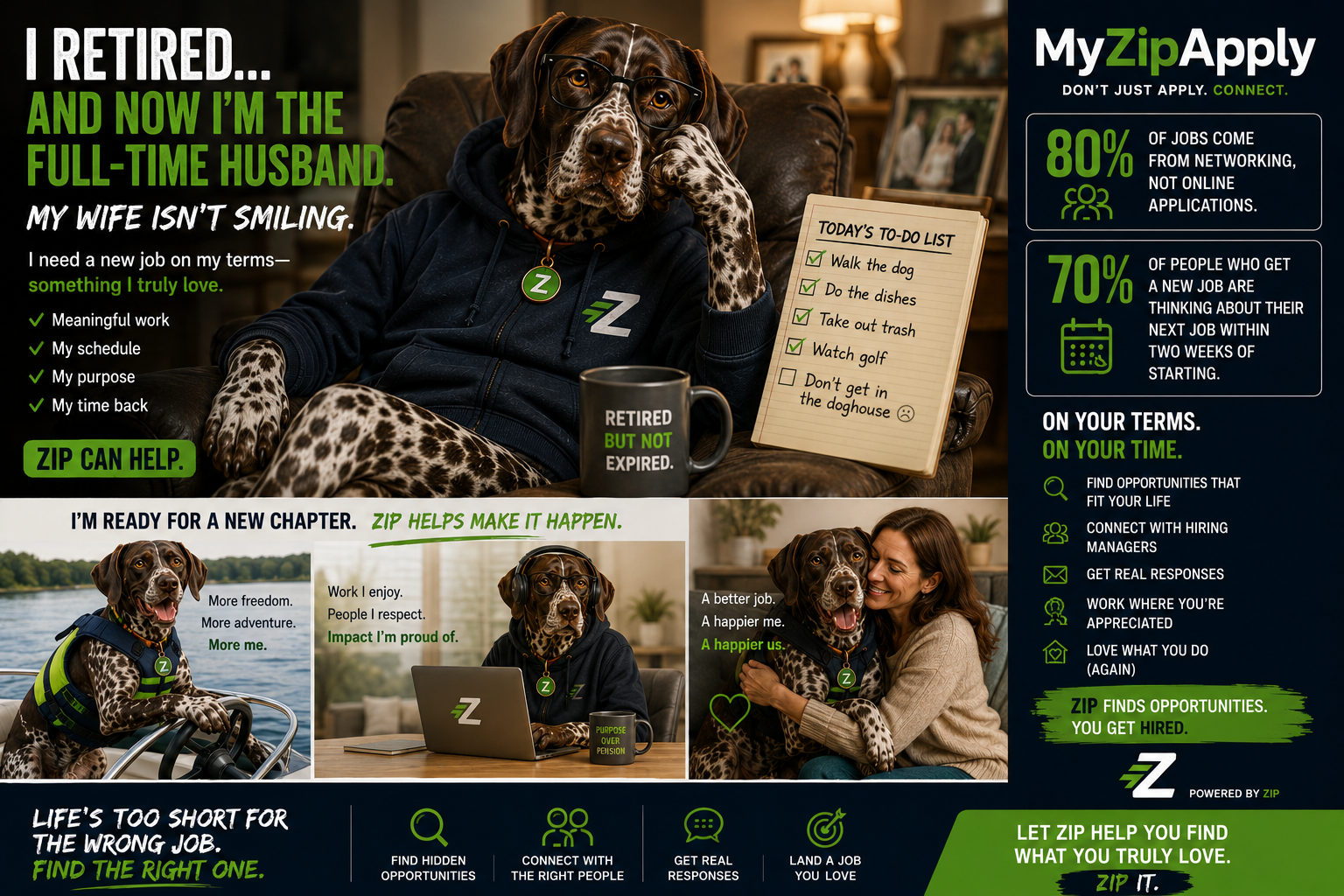 Zip the bird dog — RETIRED. NOT EXPIRED.